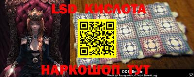 mdpv Славгород