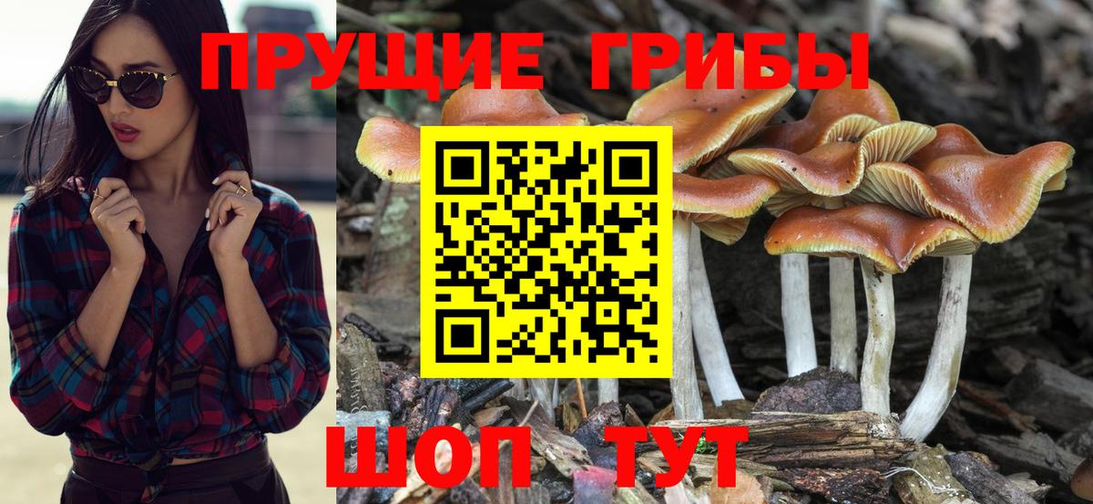 Прокопьевск  Галлюциногенные грибы GOLDEN TEACHER  Вход с VPN 